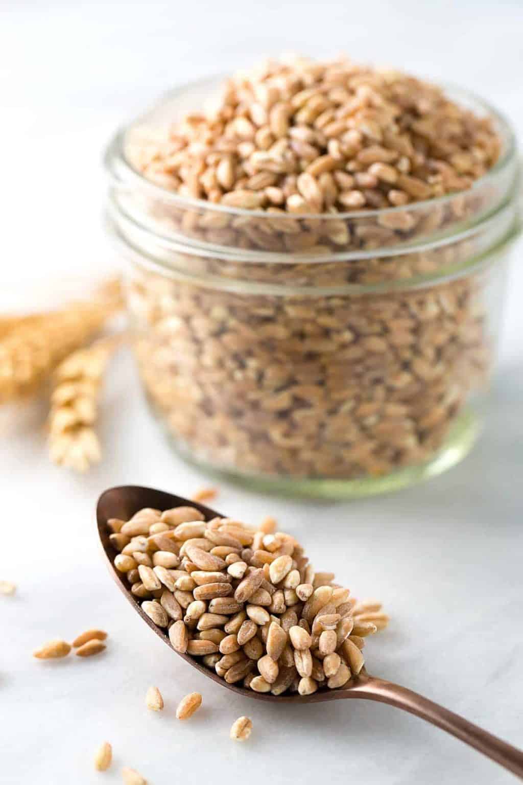 Farro Grain Good For You at Clifford Denis blog