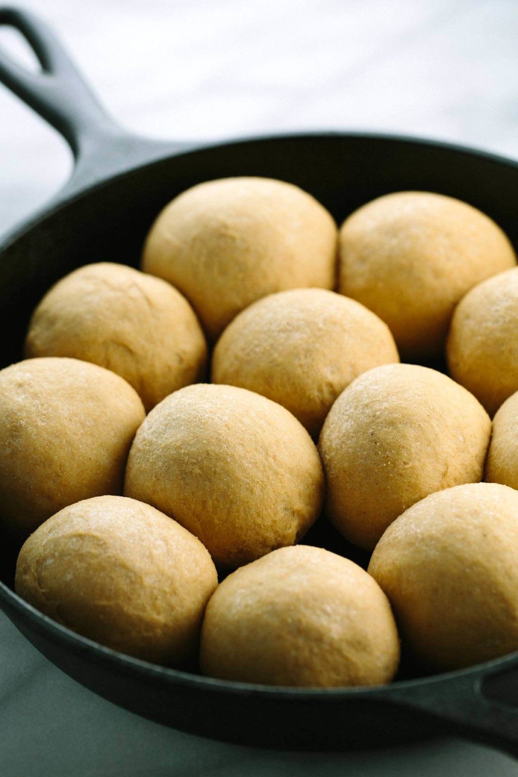 Whole Wheat Dinner Rolls Jessica Gavin