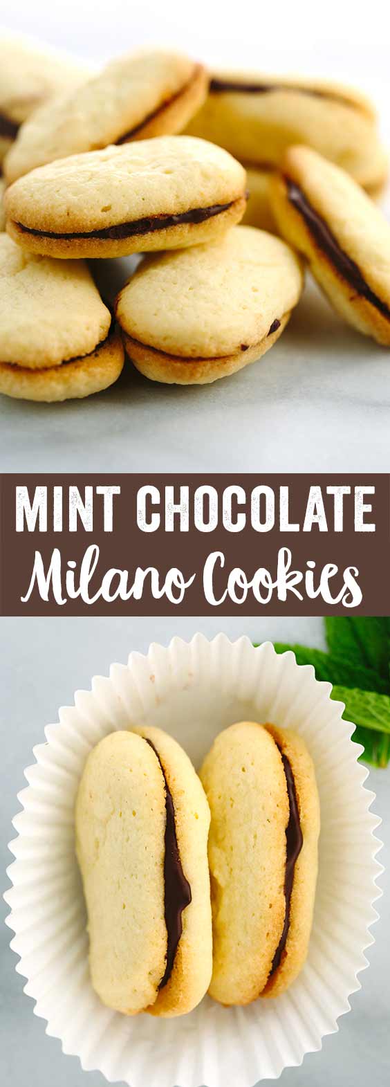 Homemade Mint Chocolate Milano Cookies - These little sweet sandwiches are filled with peppermint and orange infused dark chocolate. A perfect holiday dessert or for a cookie exchange!