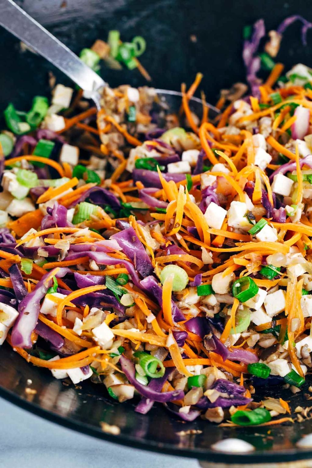 Crispy Vegetable Tofu Dumplings Jessica Gavin