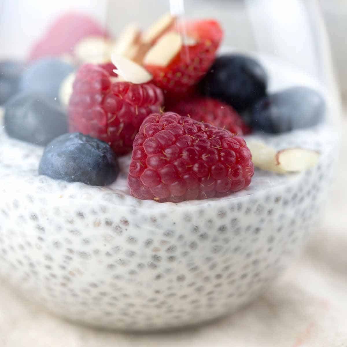 Chia Seed Pudding with Berries and Almonds