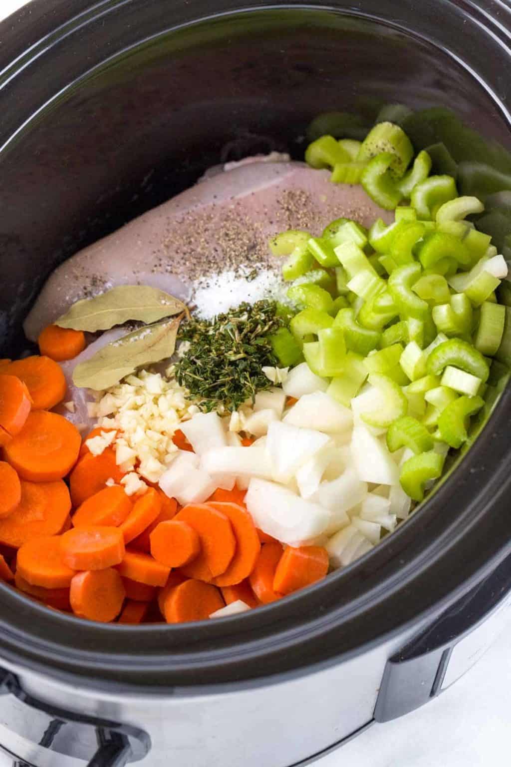 Easy CrockPot Chicken Noodle Soup Jessica Gavin
