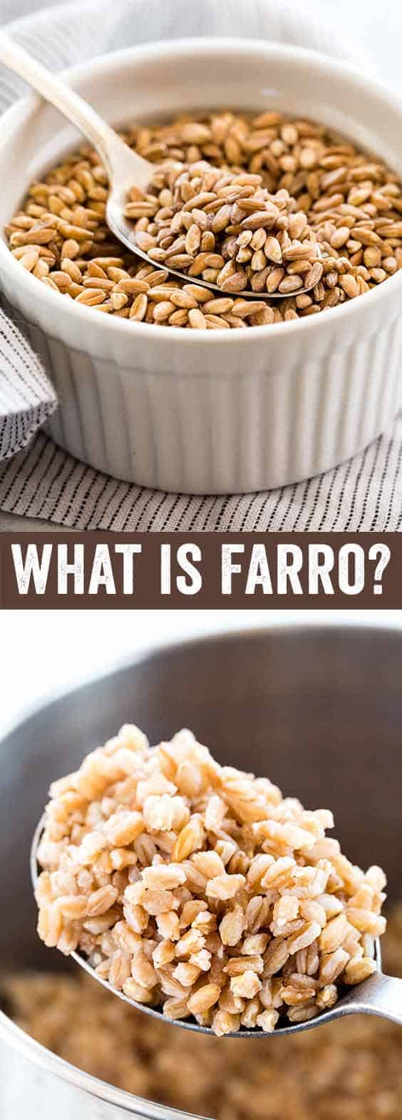 Farro is an ancient whole grain with dietary benefits. Farro is derived from wheat so it is not gluten-free. This informational guide will explain what farro is, how to select the right variety, cooking techniques, nutritional information, and recipes to try.