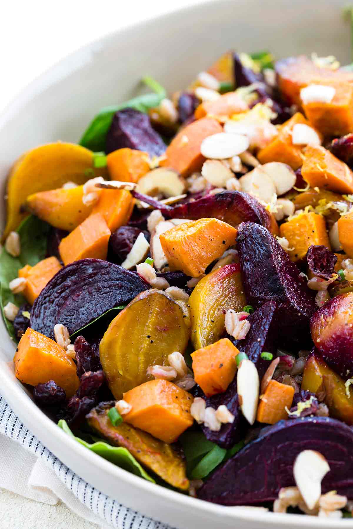Colorful salad bowl of roasted vegetables=.