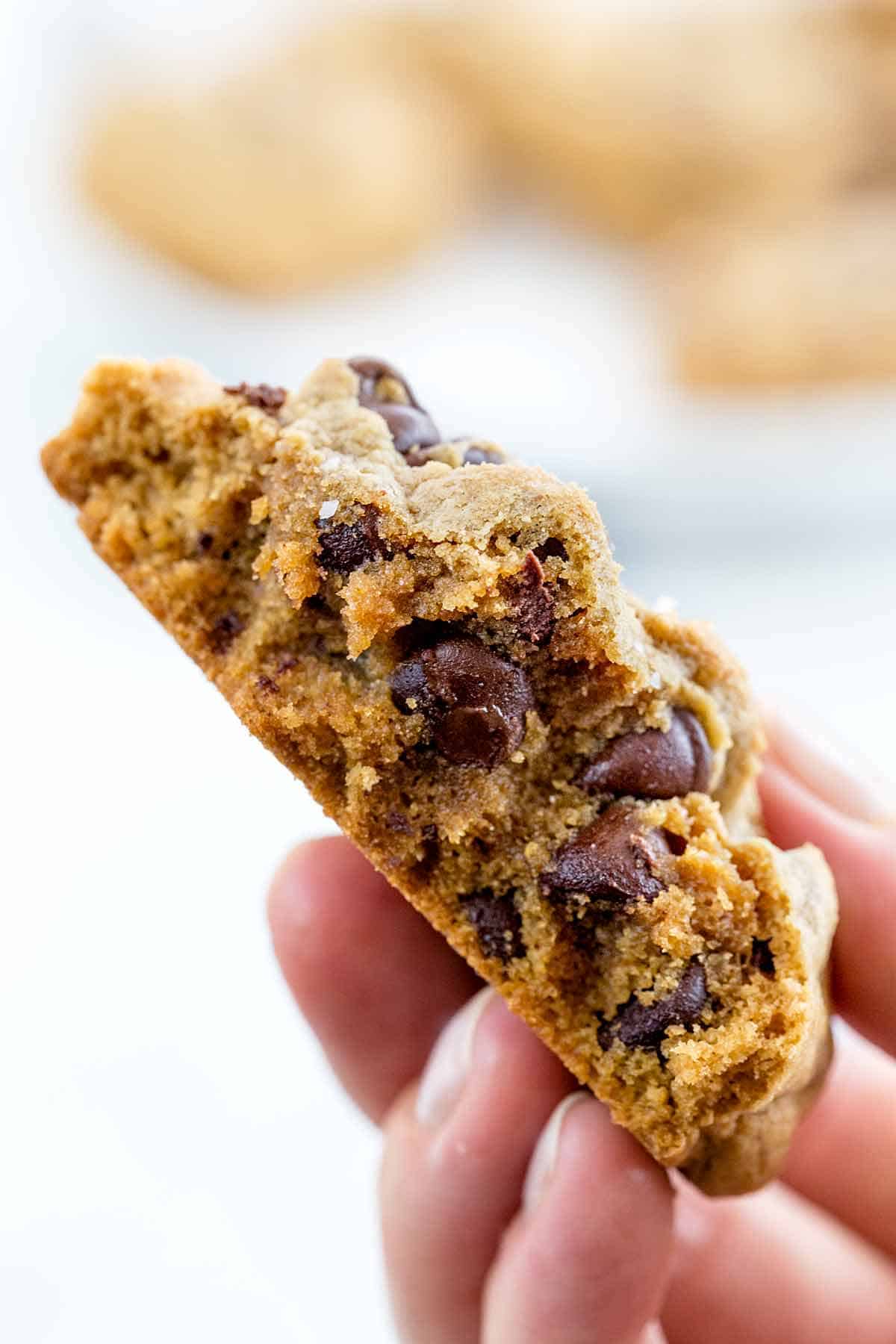 Hand holding a gluten-free chocolate chip cookie.