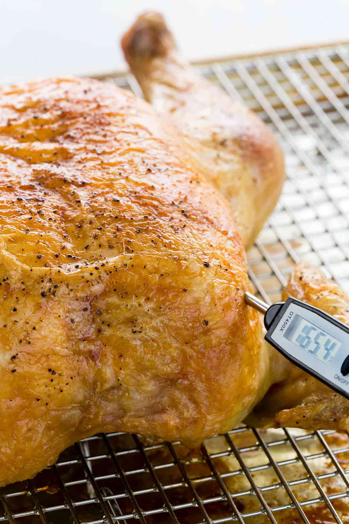 Meat thermometer checking the temperature of roasted chicken.