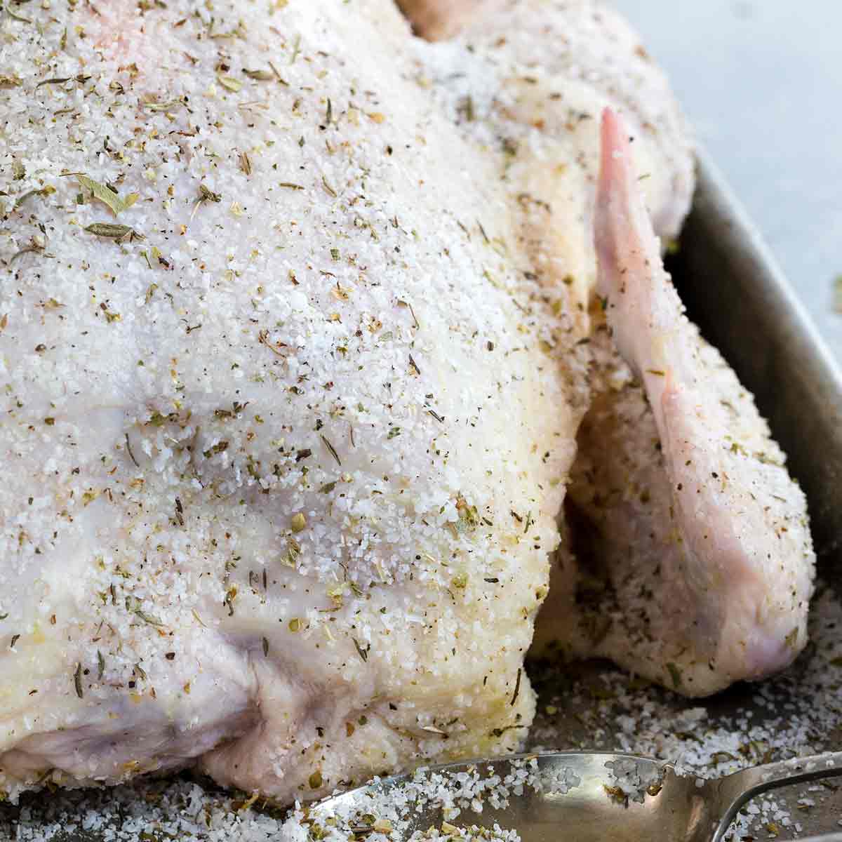 The Benefits of Brining Chicken or Turkey Jessica Gavin