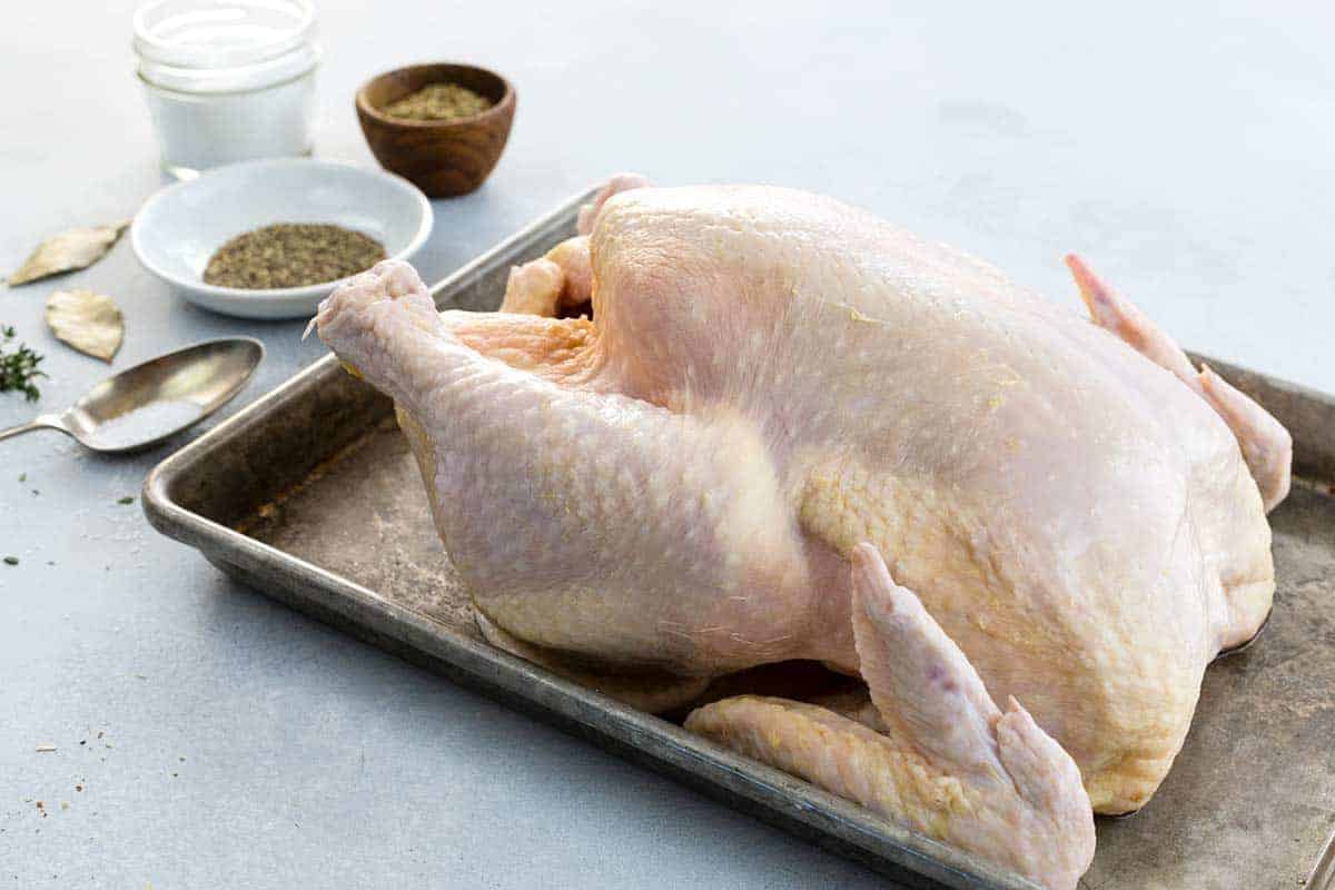 Dry Brined Butterflied Roasted Chicken Jessica Gavin