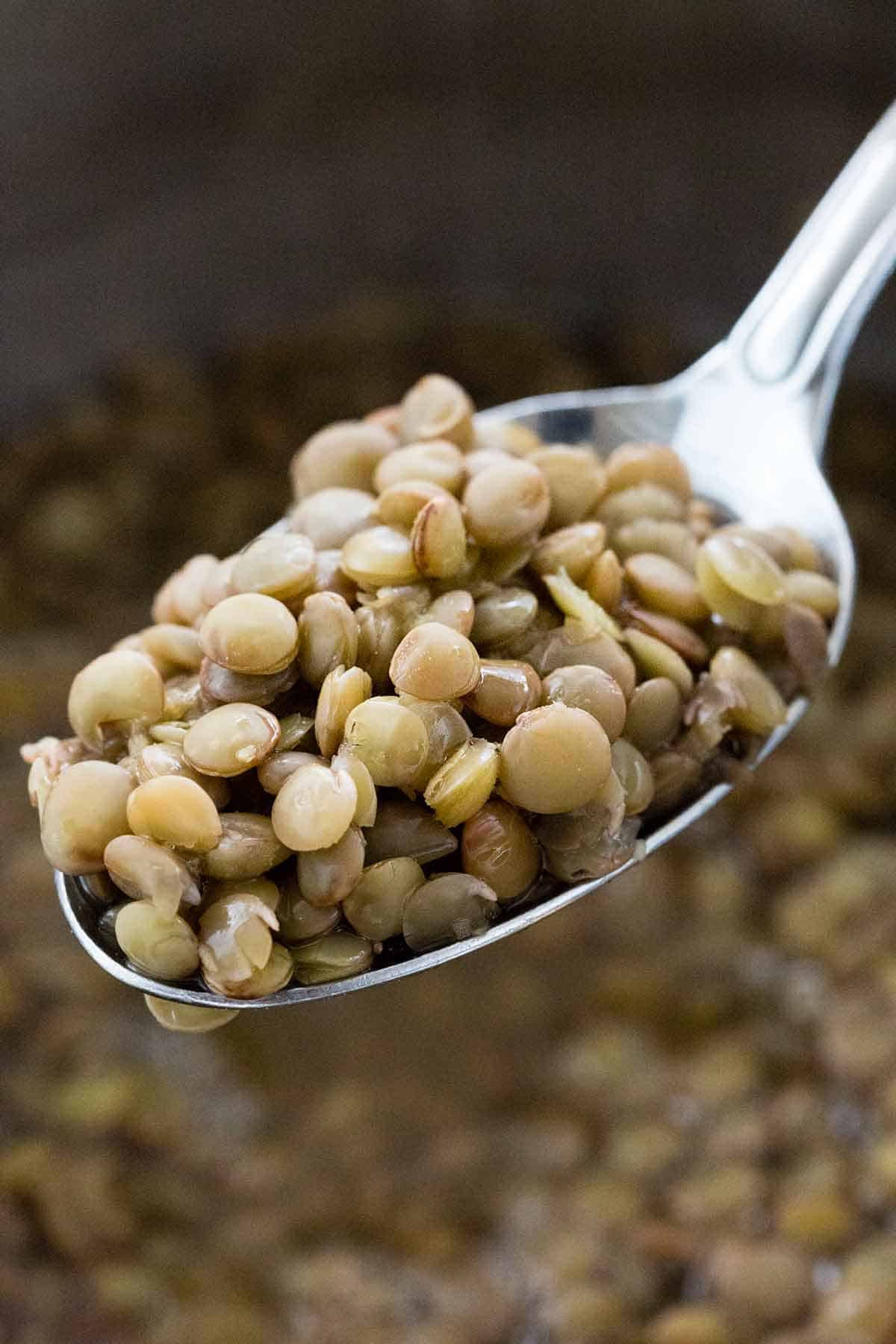 How to cook lentils stovetop oven jessica gavin