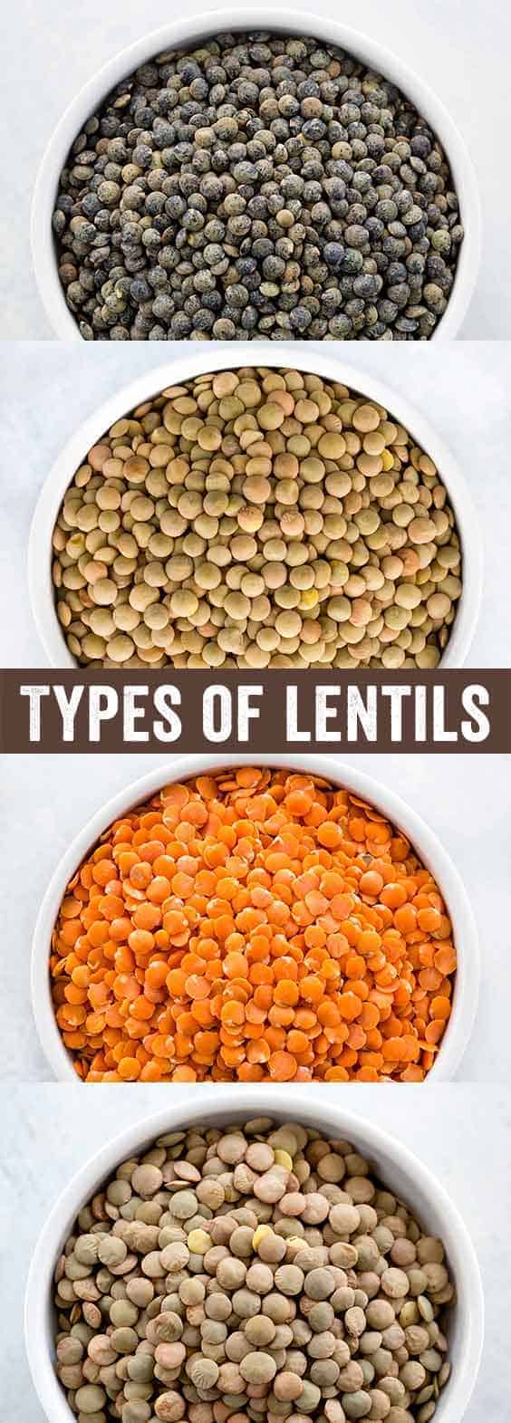 what are lentils nutrition and varieties jessica gavin lentils serving size