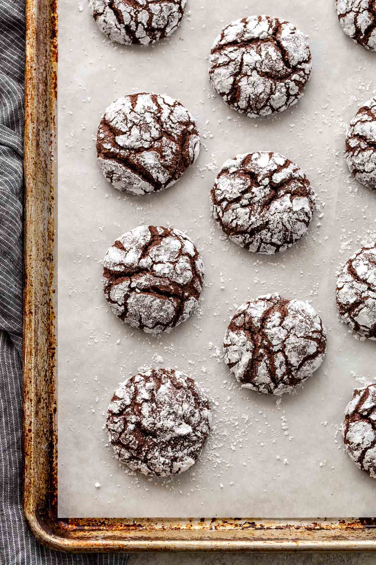 Top down view of baked crinkle cookies on a sheet tray lined with parchment paper.
