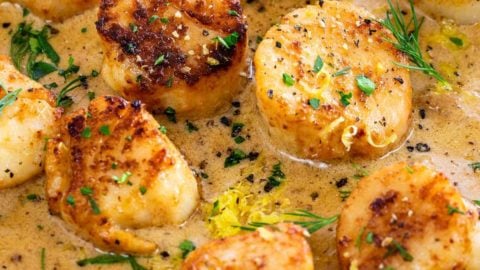 Seared Scallops with Lemon Garlic Sauce - Jessica Gavin