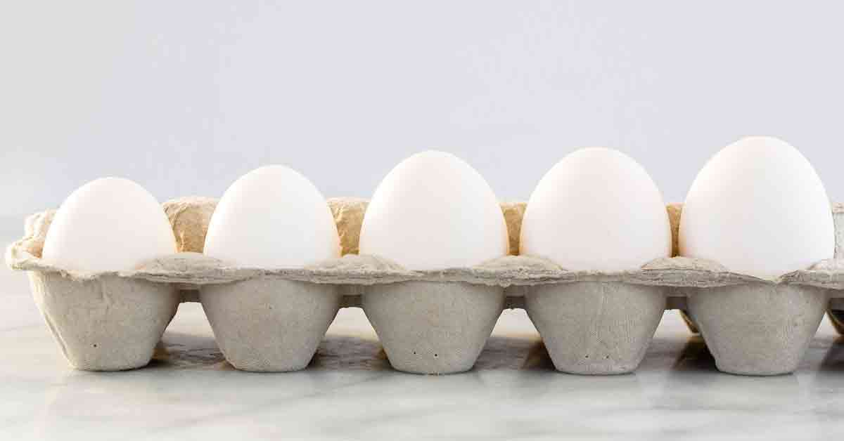 Different Sizes of Eggs, A Guide