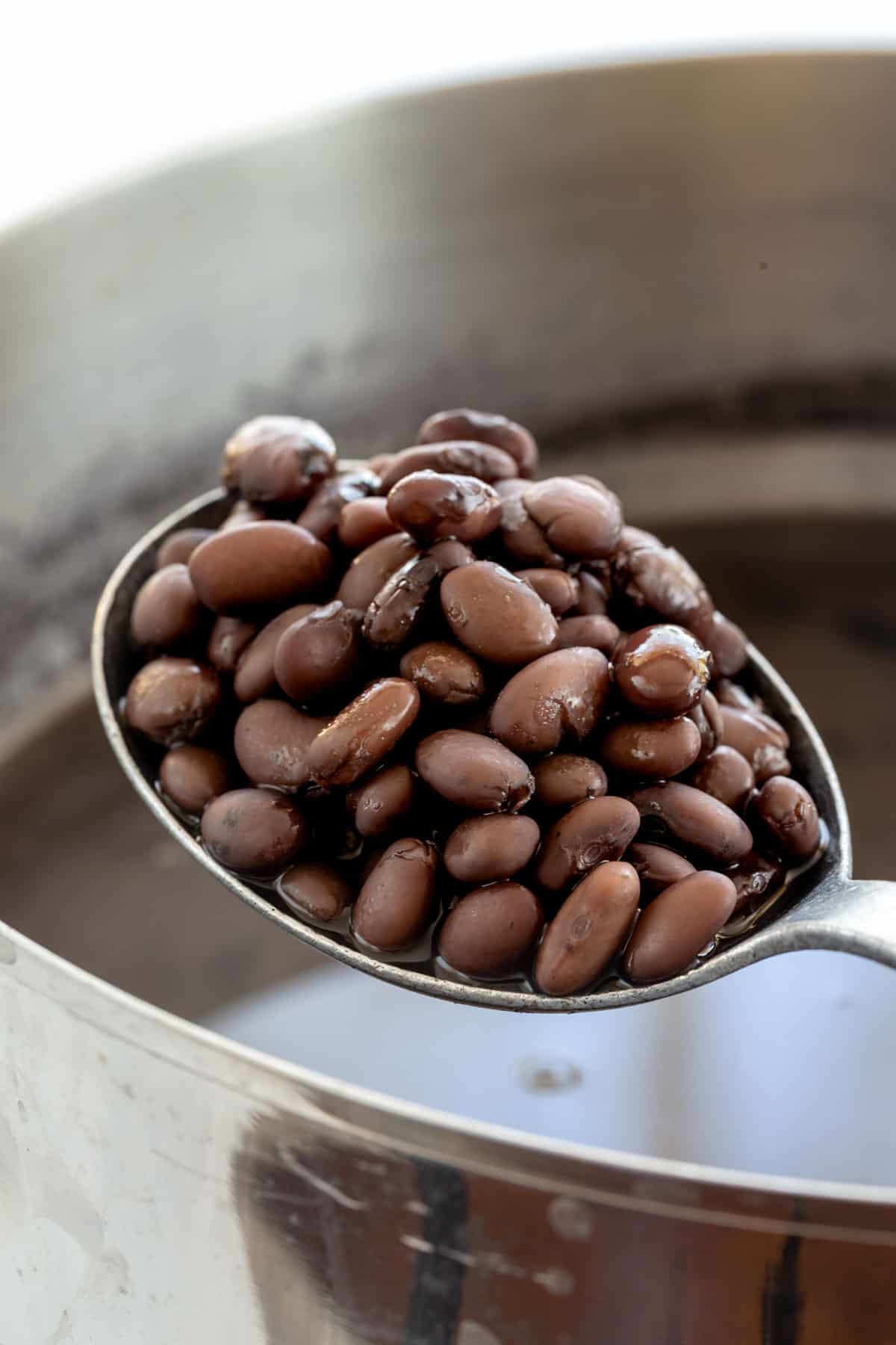 How to Cook Black Beans on the Stovetop Jessica Gavin
