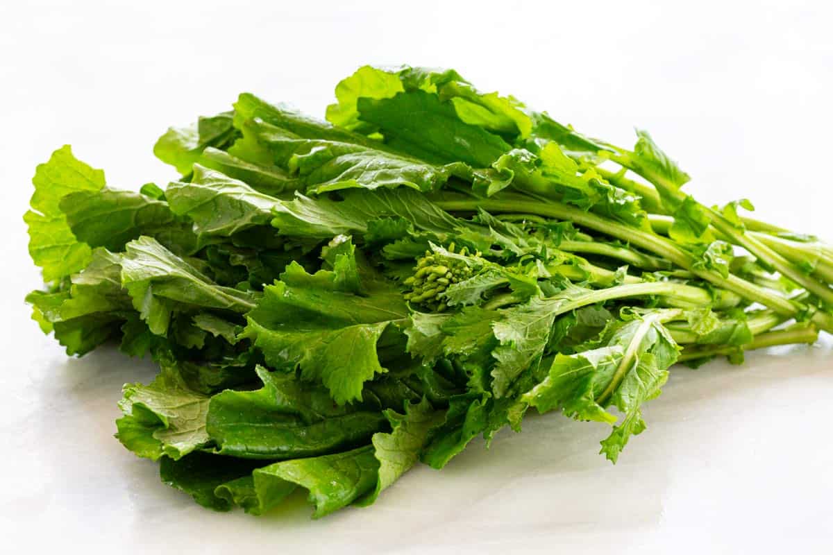 Broccoli raab