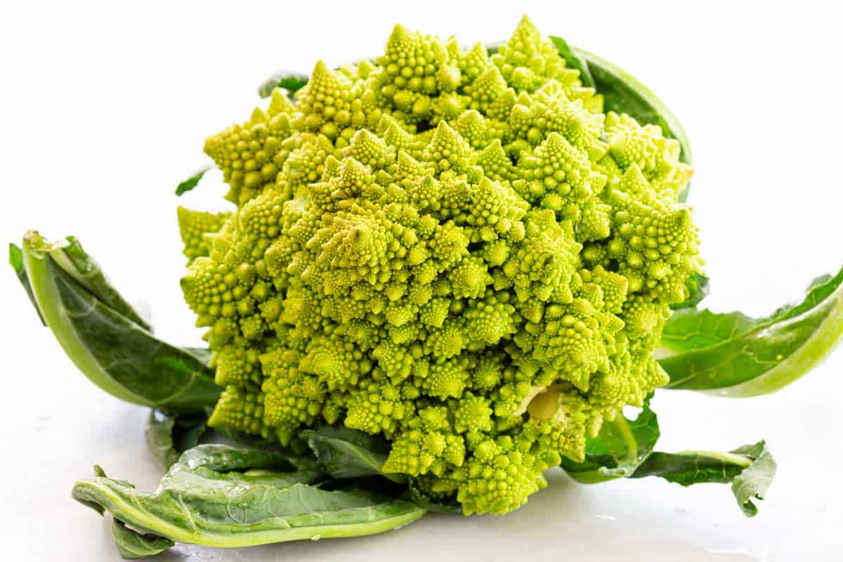 Romanesco broccoli