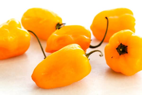 Habanero peppers