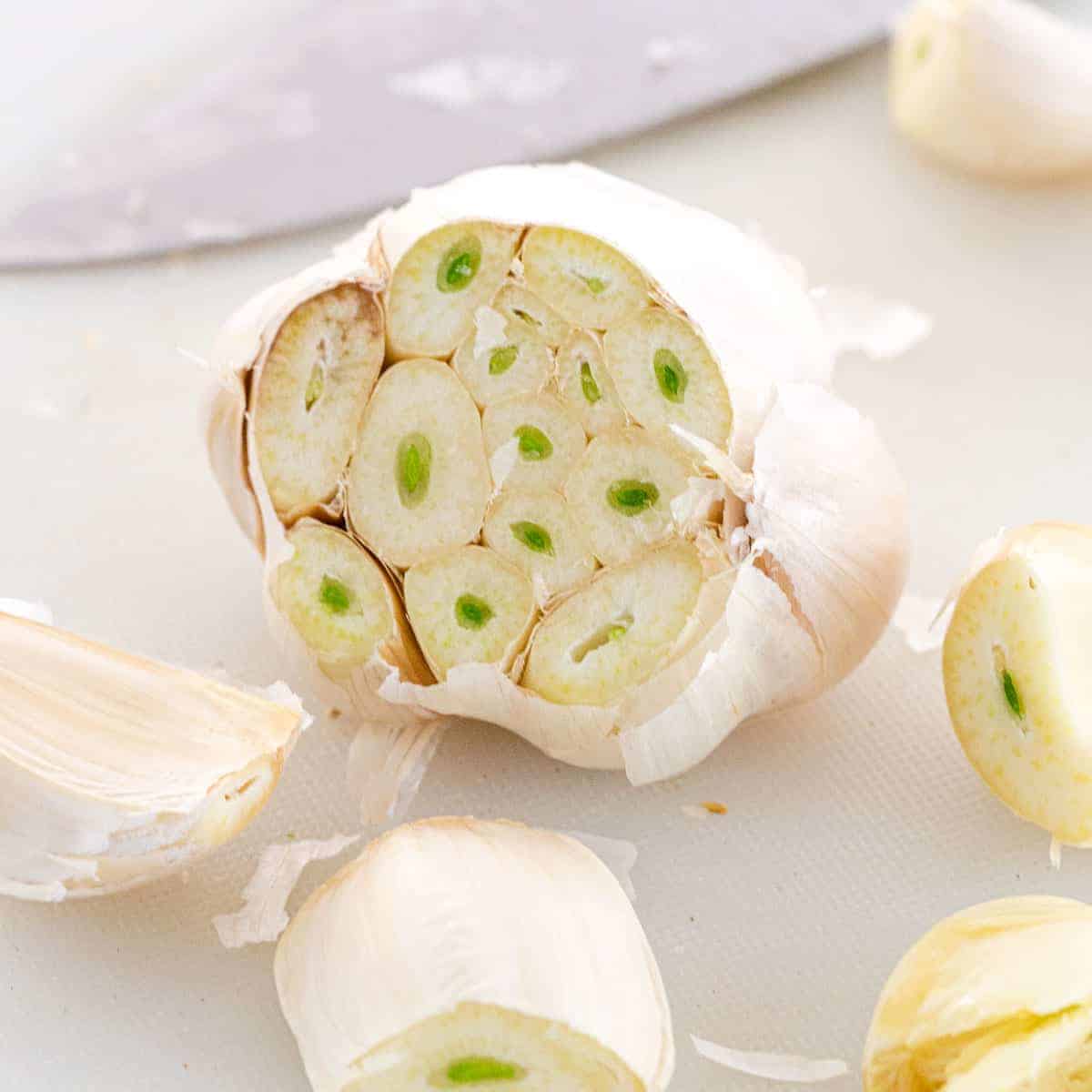 Sprouted Garlic Is it Safe to Eat? Jessica Gavin
