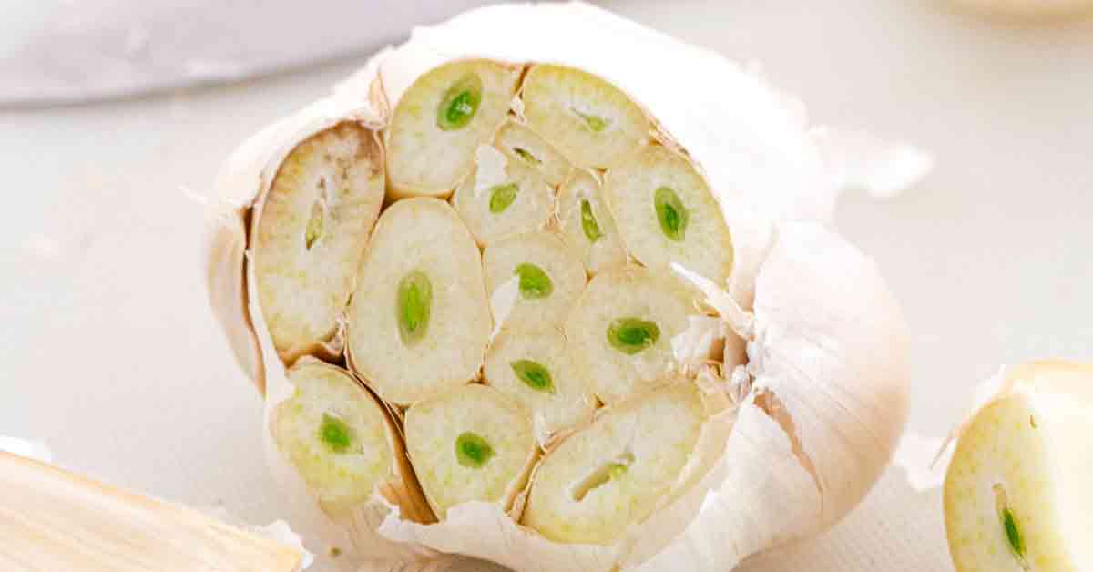 Sprouted Garlic Is it Safe to Eat? Jessica Gavin