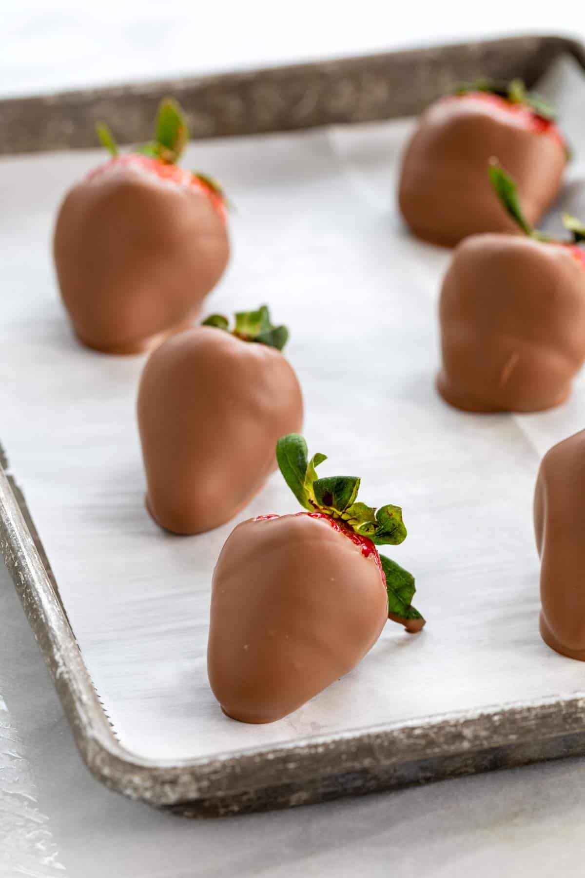 Chocolate dipped strawberries lined up on a baking sheet.