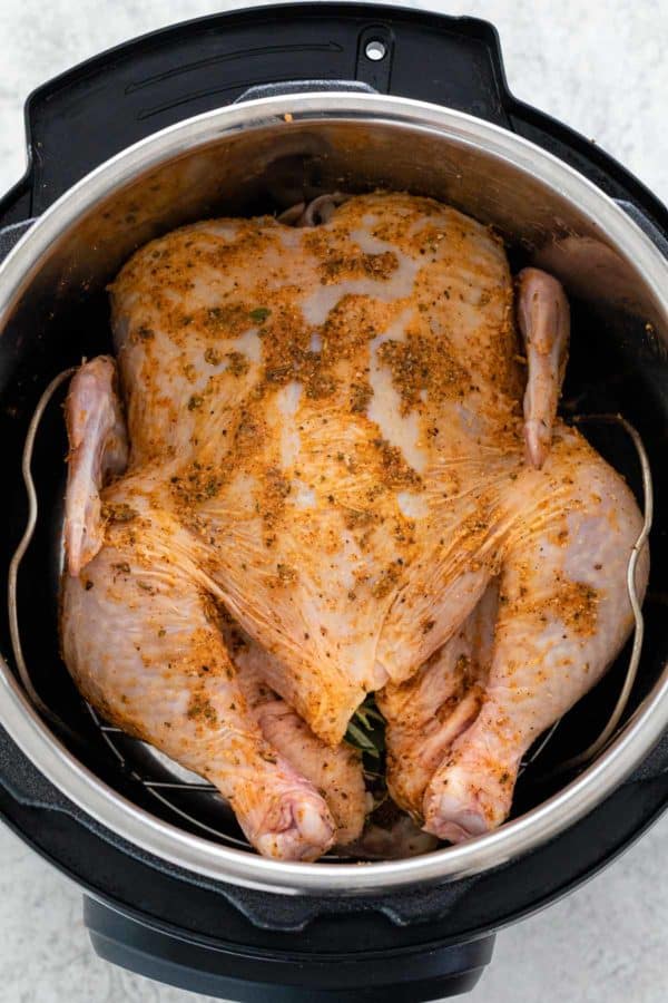 Instant Pot Whole Chicken - Jessica Gavin