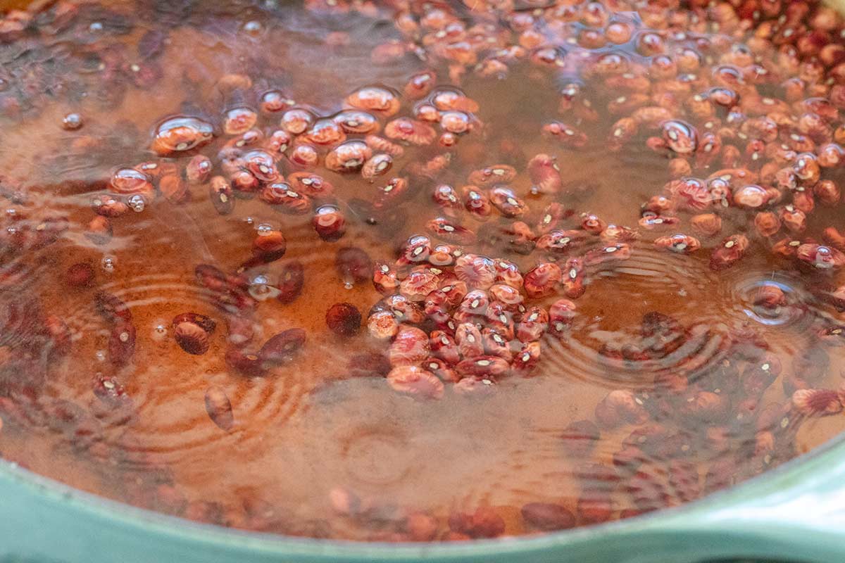 Dried red beans submerged in a large pot filled with water.