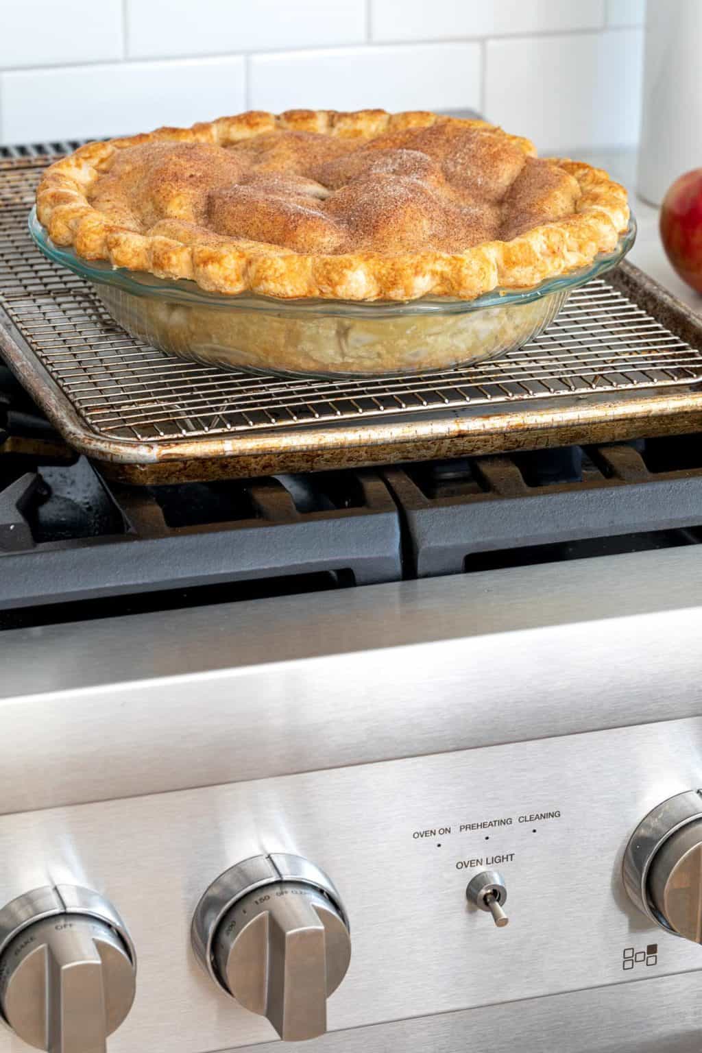 Convection vs. Conventional Ovens Jessica Gavin