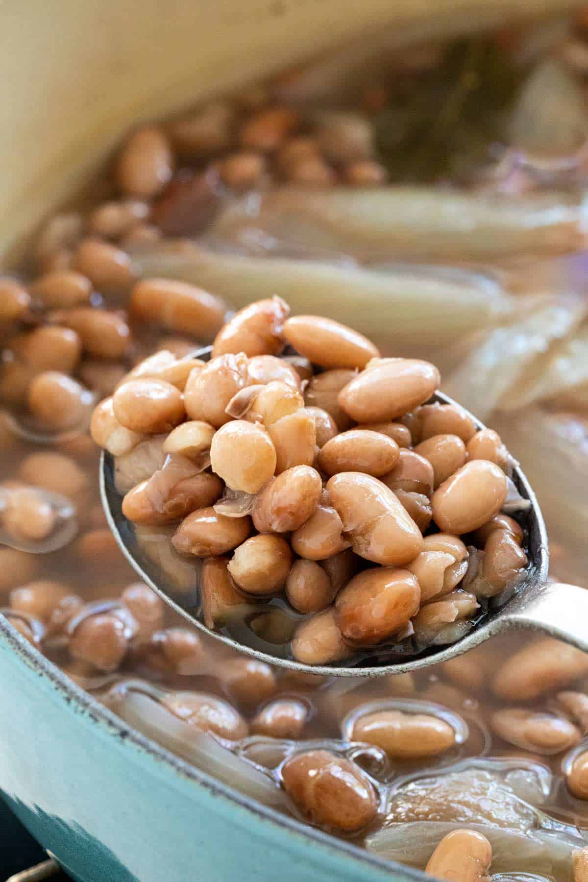 How to Make Refried Beans (Canned or Dried) Jessica Gavin