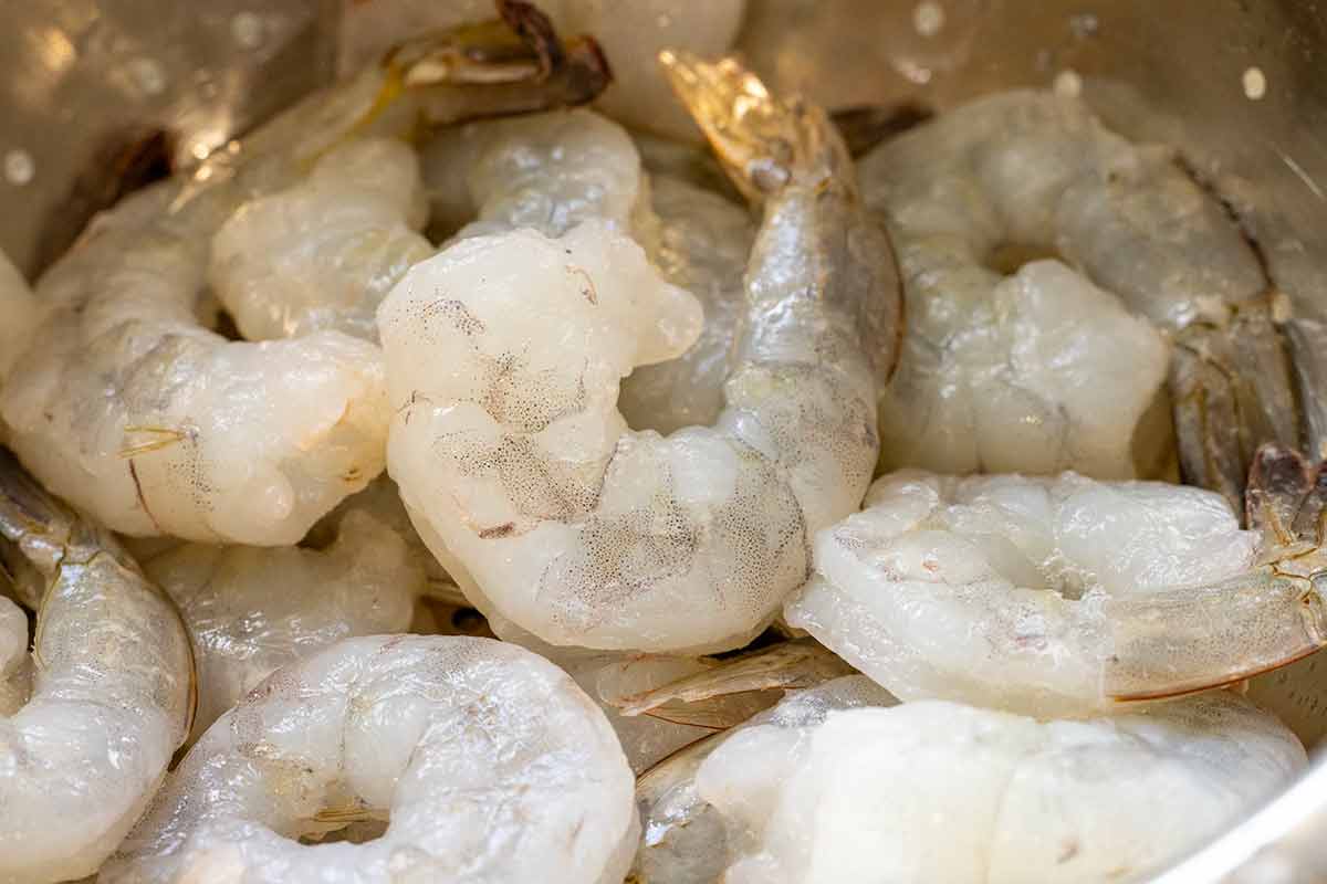 Frozen shrimp defrosting in a colander.