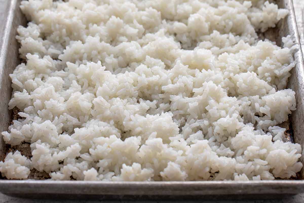 Grains of cooked white rice cooling on a sheet tray.
