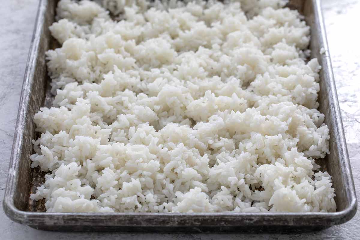 Cooked white rice spread evenly across a sheet pan