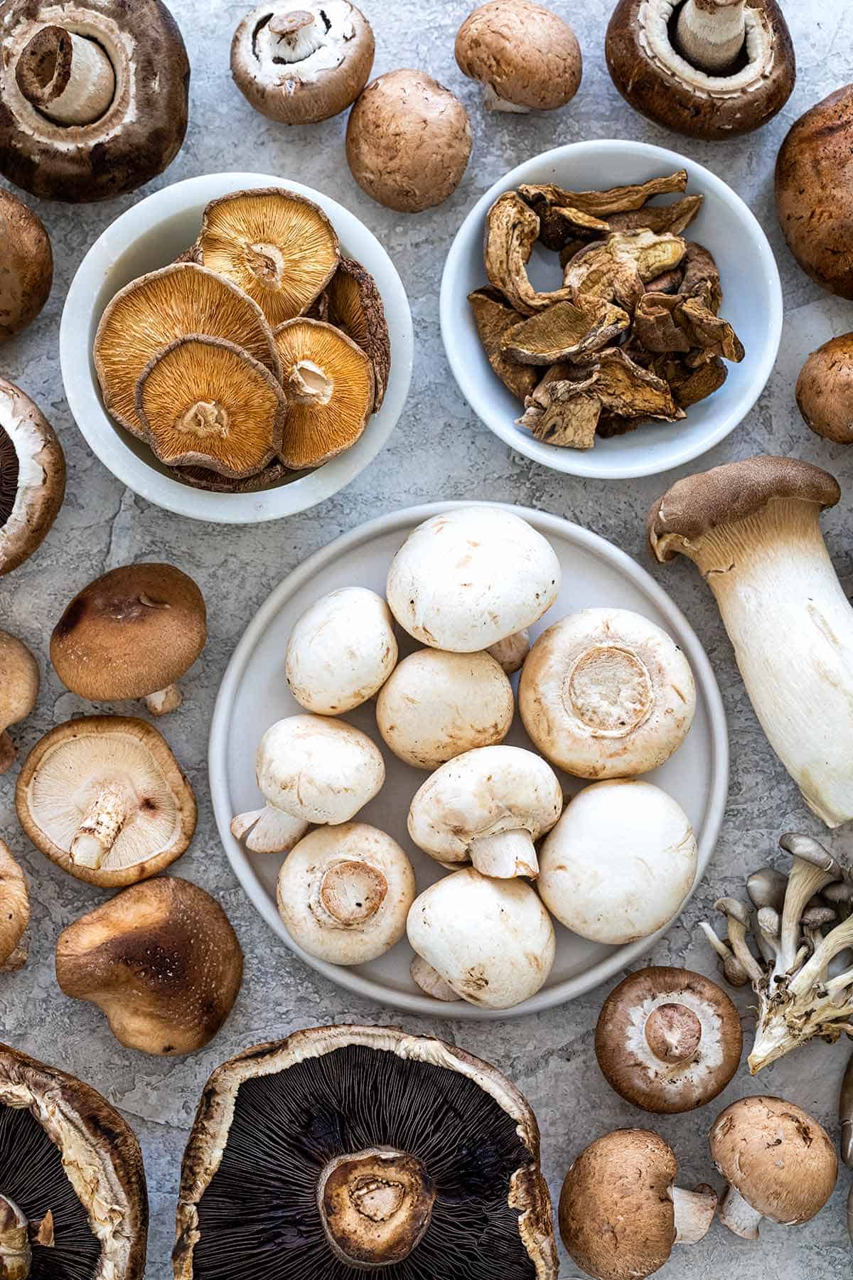 Types Of Mushrooms