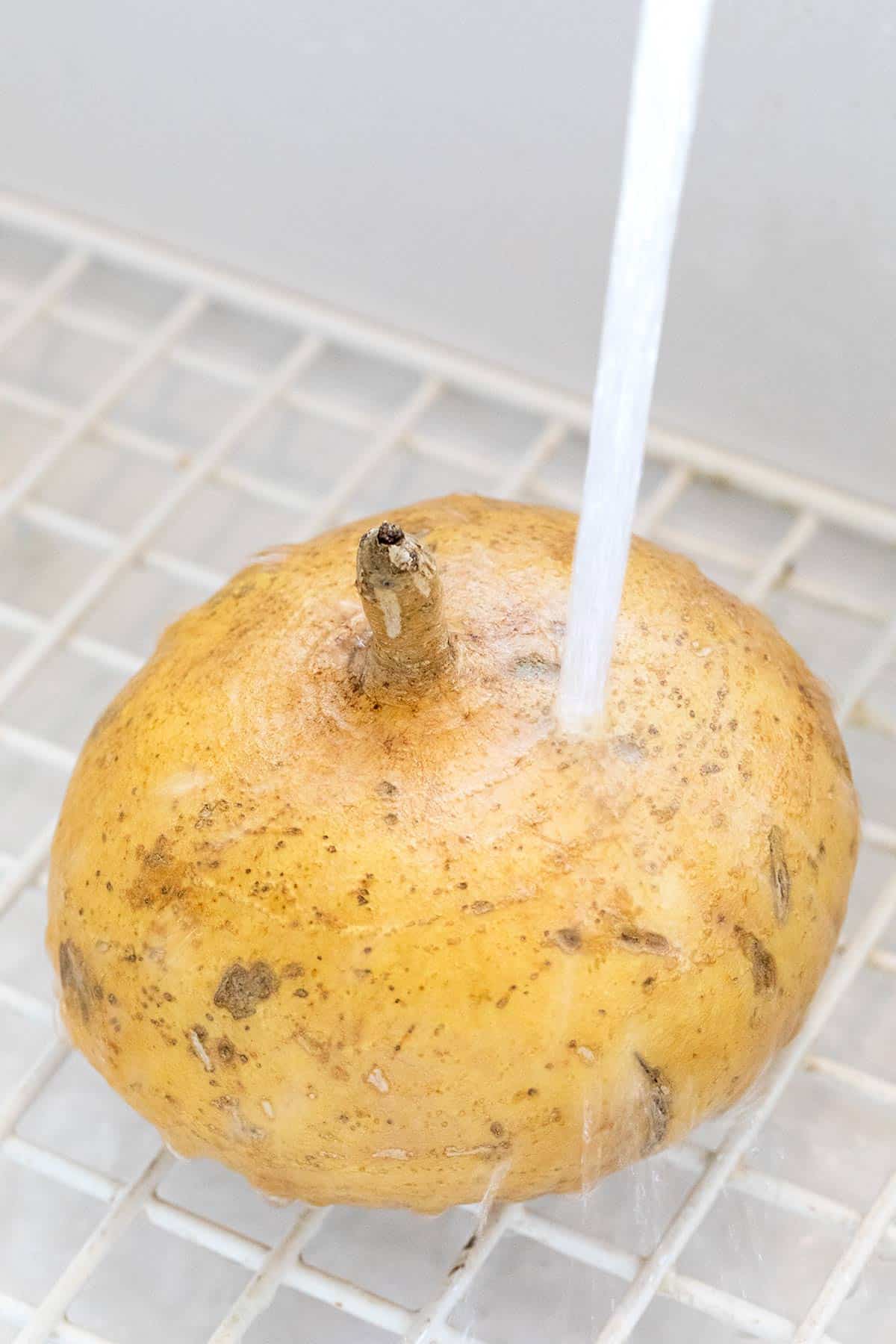 How to Cut Jicama Jessica Gavin