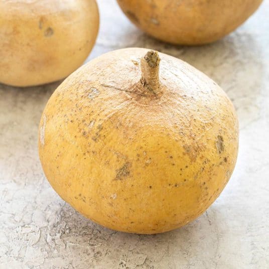 Jicama Salad with CilantroLime Dressing Jessica Gavin