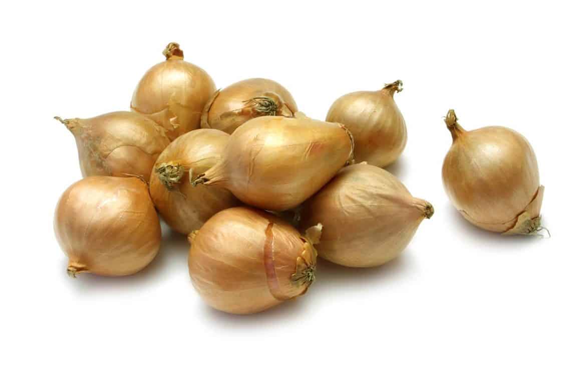 What are Shallots? Jessica Gavin