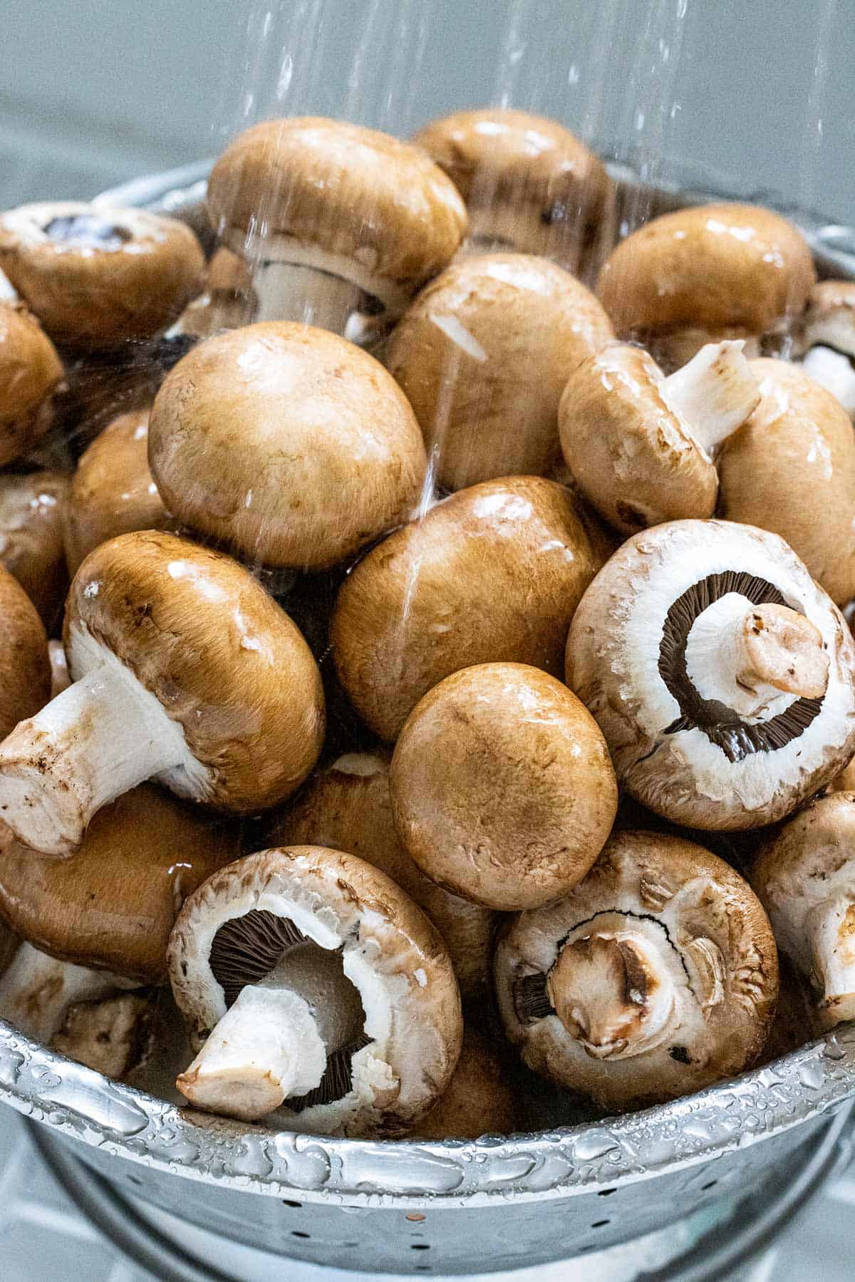 Cremini mushrooms in a colander being rinsed.