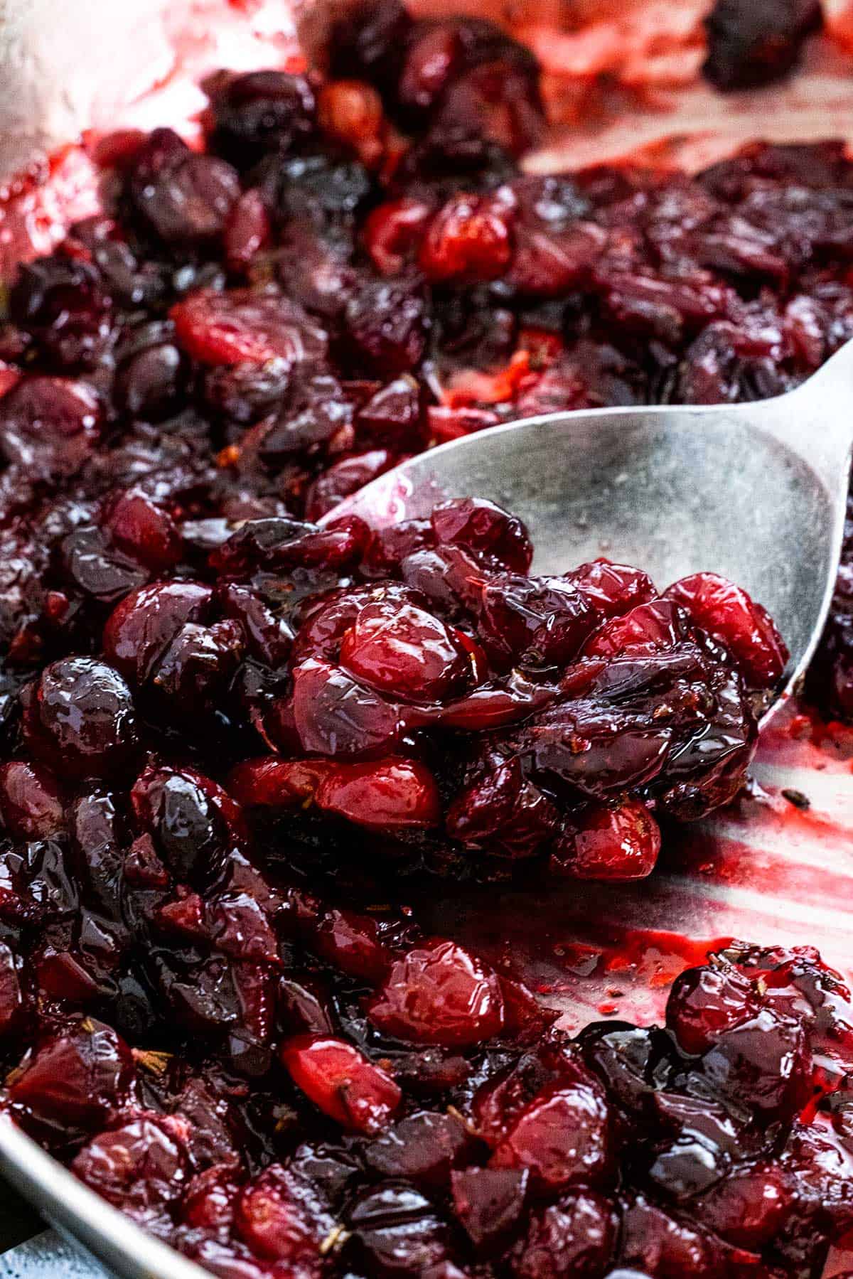 Spoon scooping up cranberry sauce.