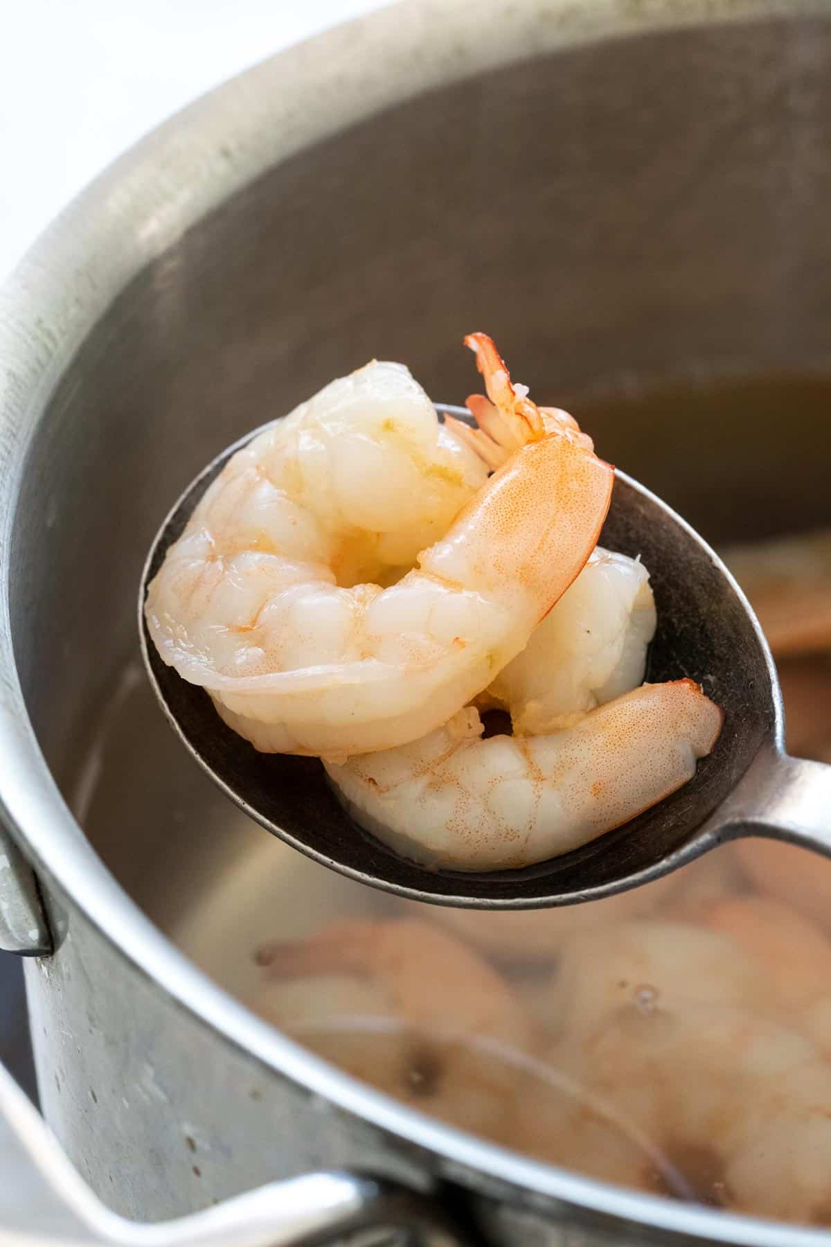 Shrimp Ceviche Recipe with Avocado - Jessica Gavin