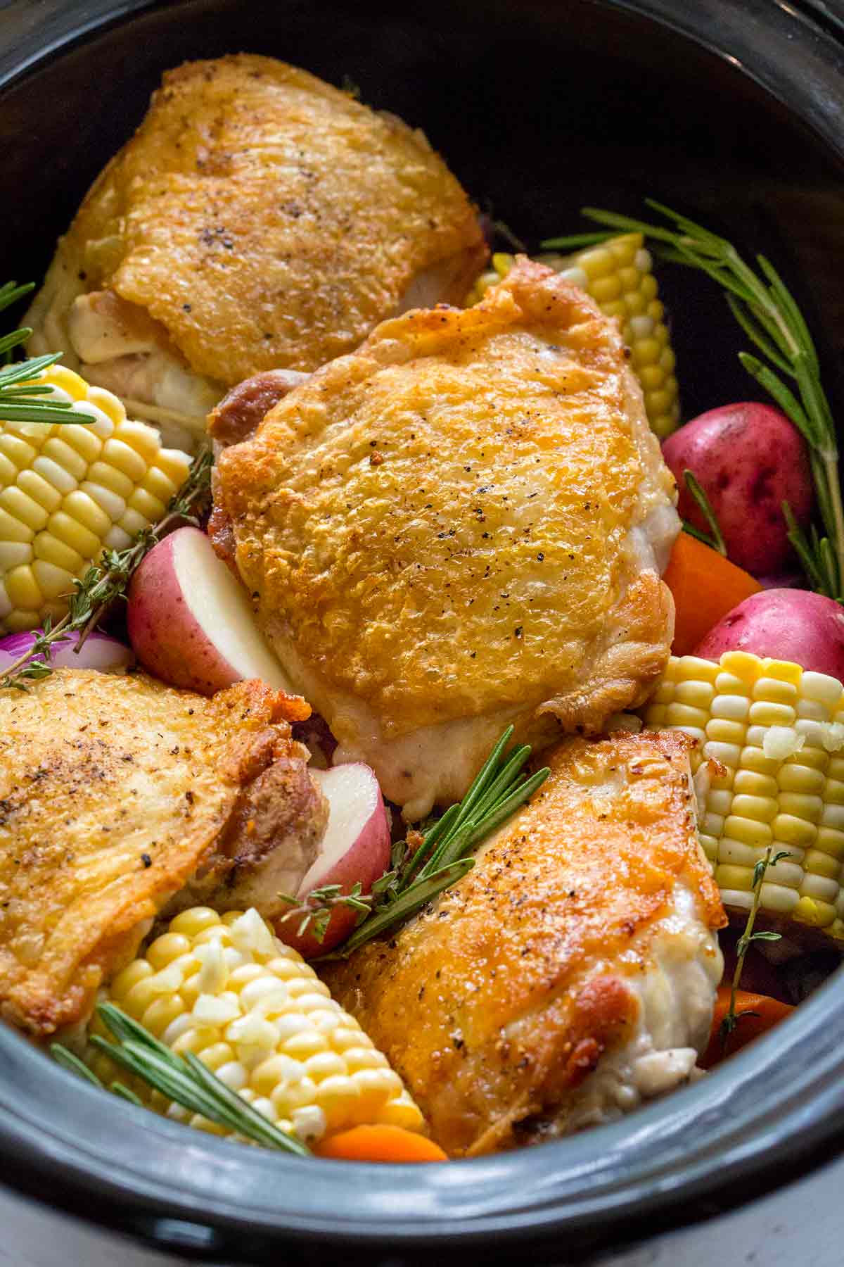 Seared chicken thighs inside a slow cooker with corn, potatoes, and thyme.