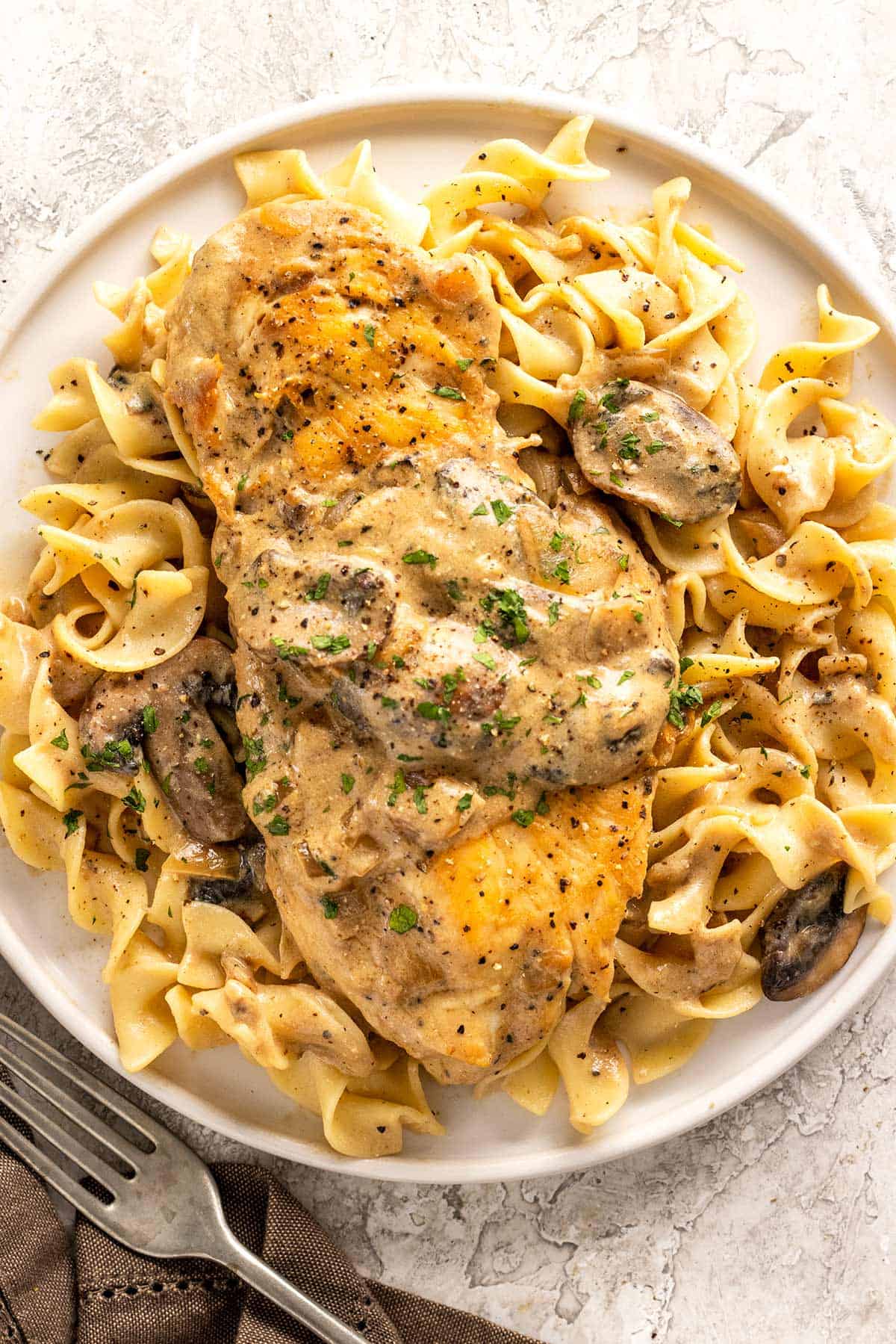 Plate of chicken stroganoff served with egg noodles.