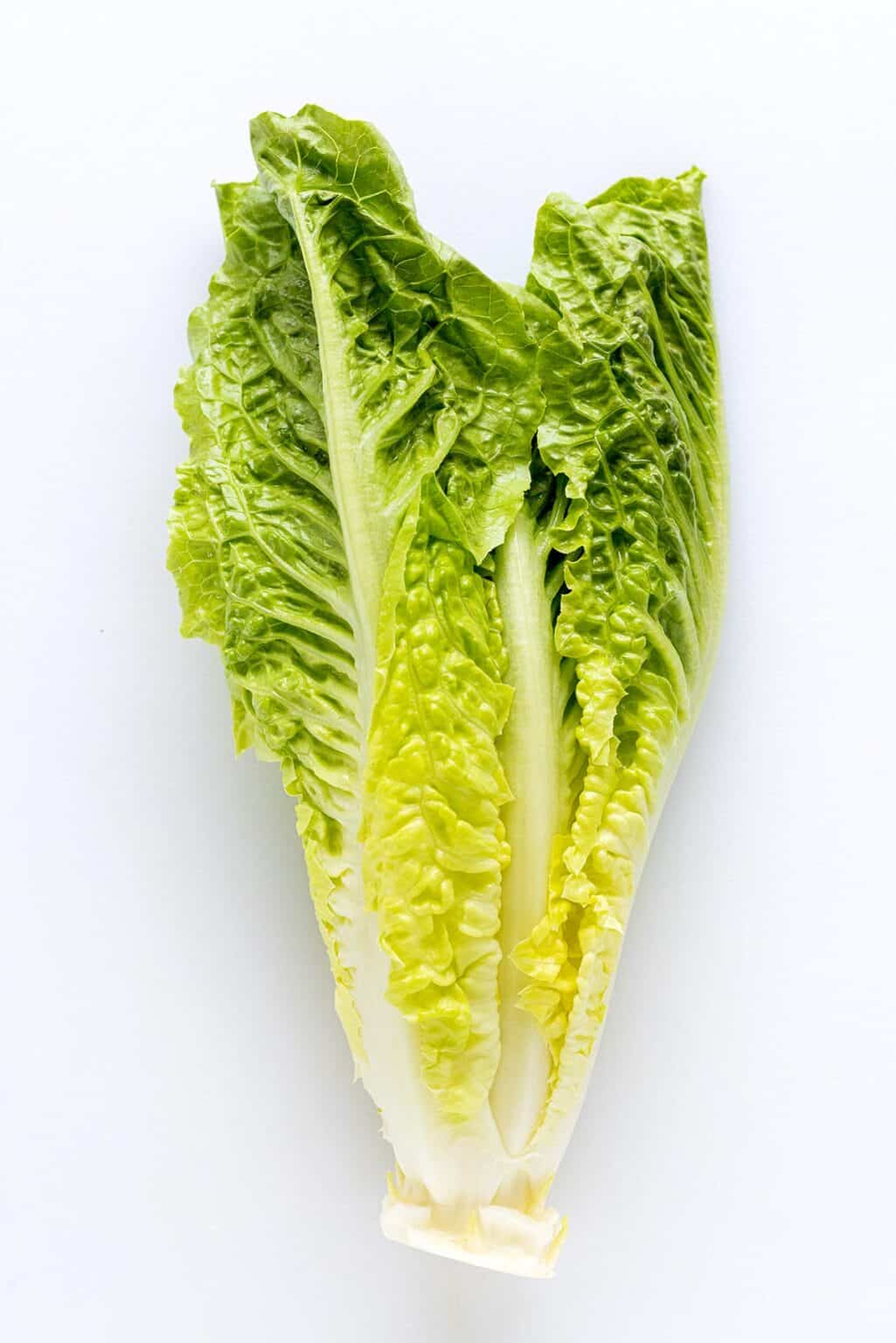 How to Cut Romaine Lettuce Jessica Gavin