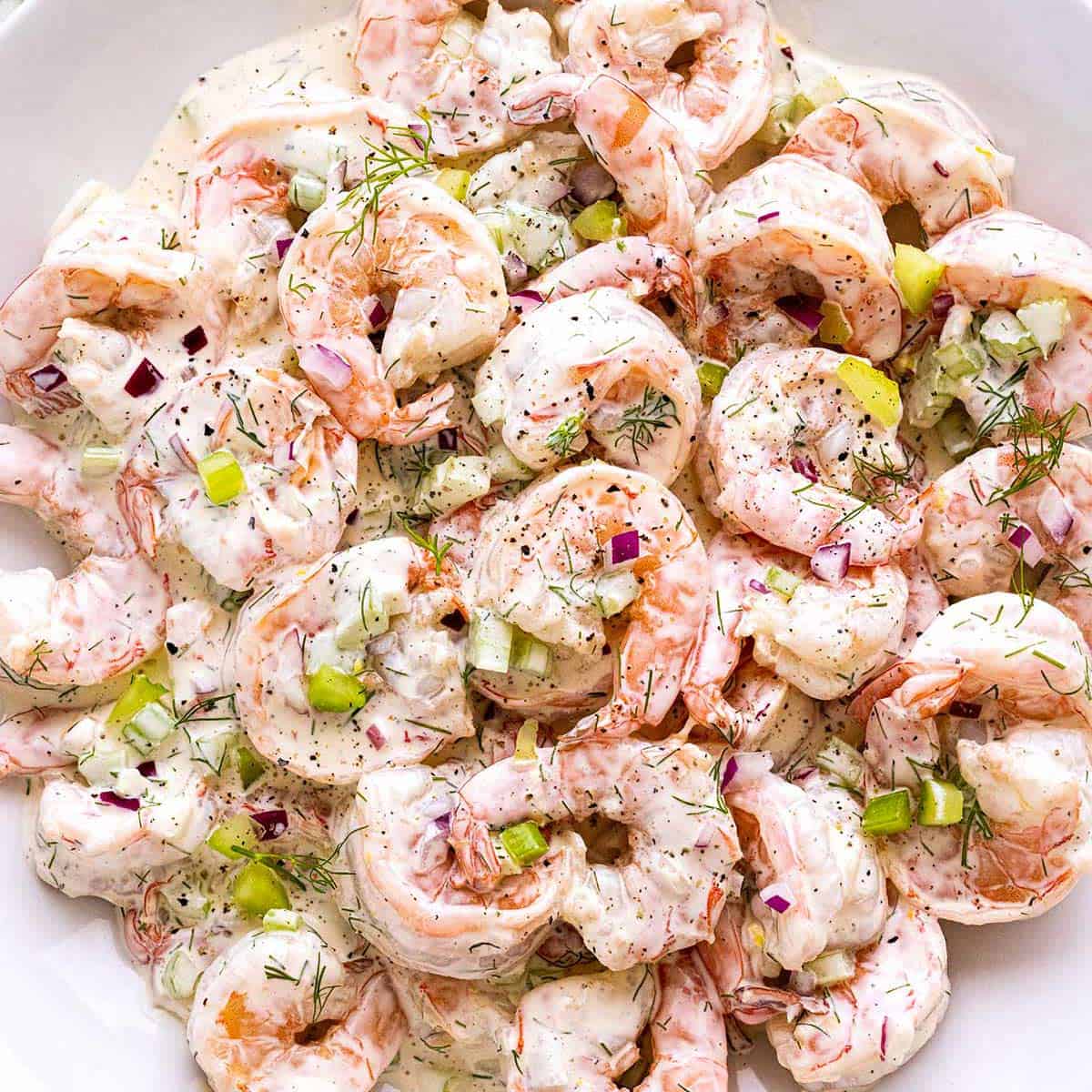 Best Tuna Salad Recipe Delights