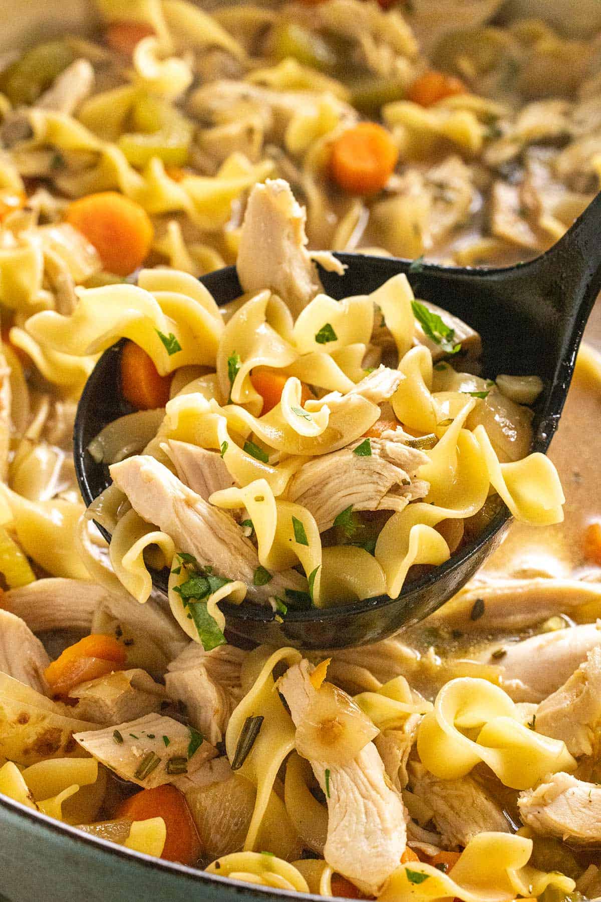 Ladle serving turkey noodle soup out of a pot.
