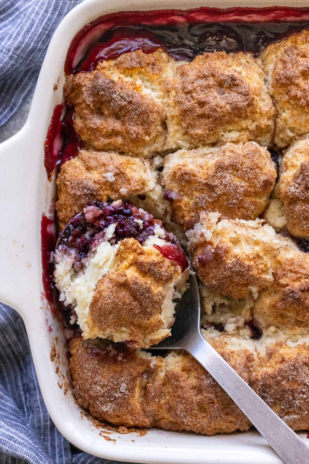 Blackberry cobbler in a white baking dish.