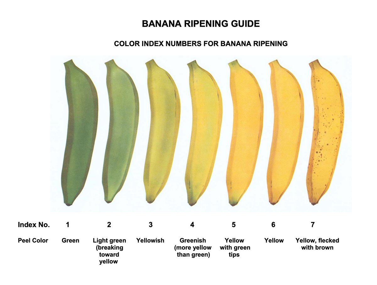 Banana ripening guide with descriptions of peel colors.