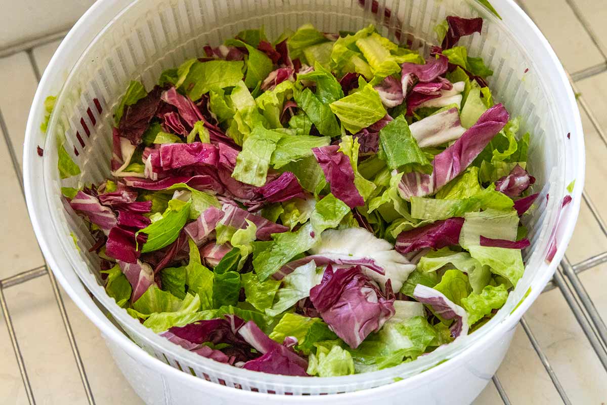 Pieces of radicchio and romaine in a salad spinner.