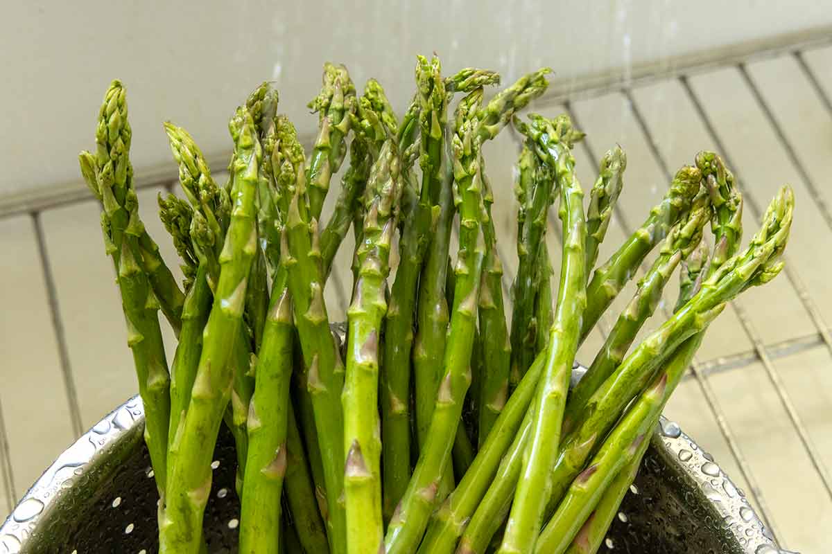 Aspragus spears in a metal colander being rinsed in a sink with water.