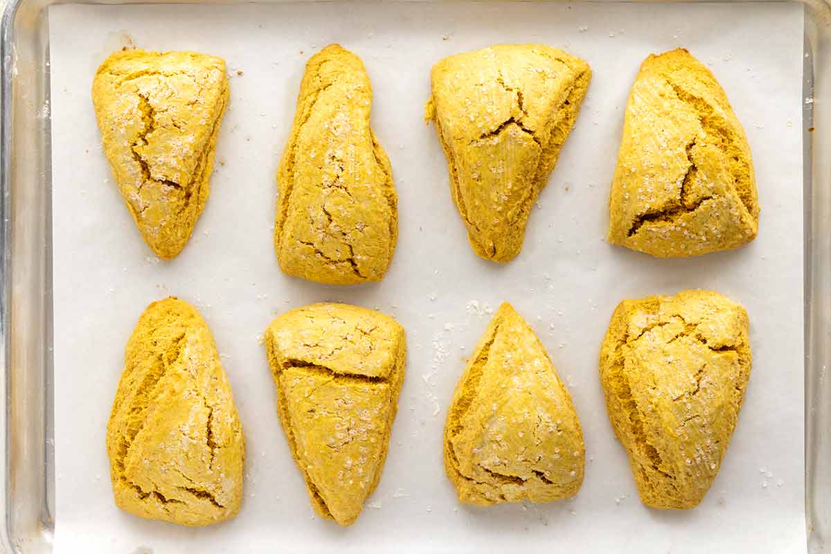 Eight triangular unbaked pumpkin scone dough pieces on a parchment-lined baking sheet, sprinkled with sugar.
